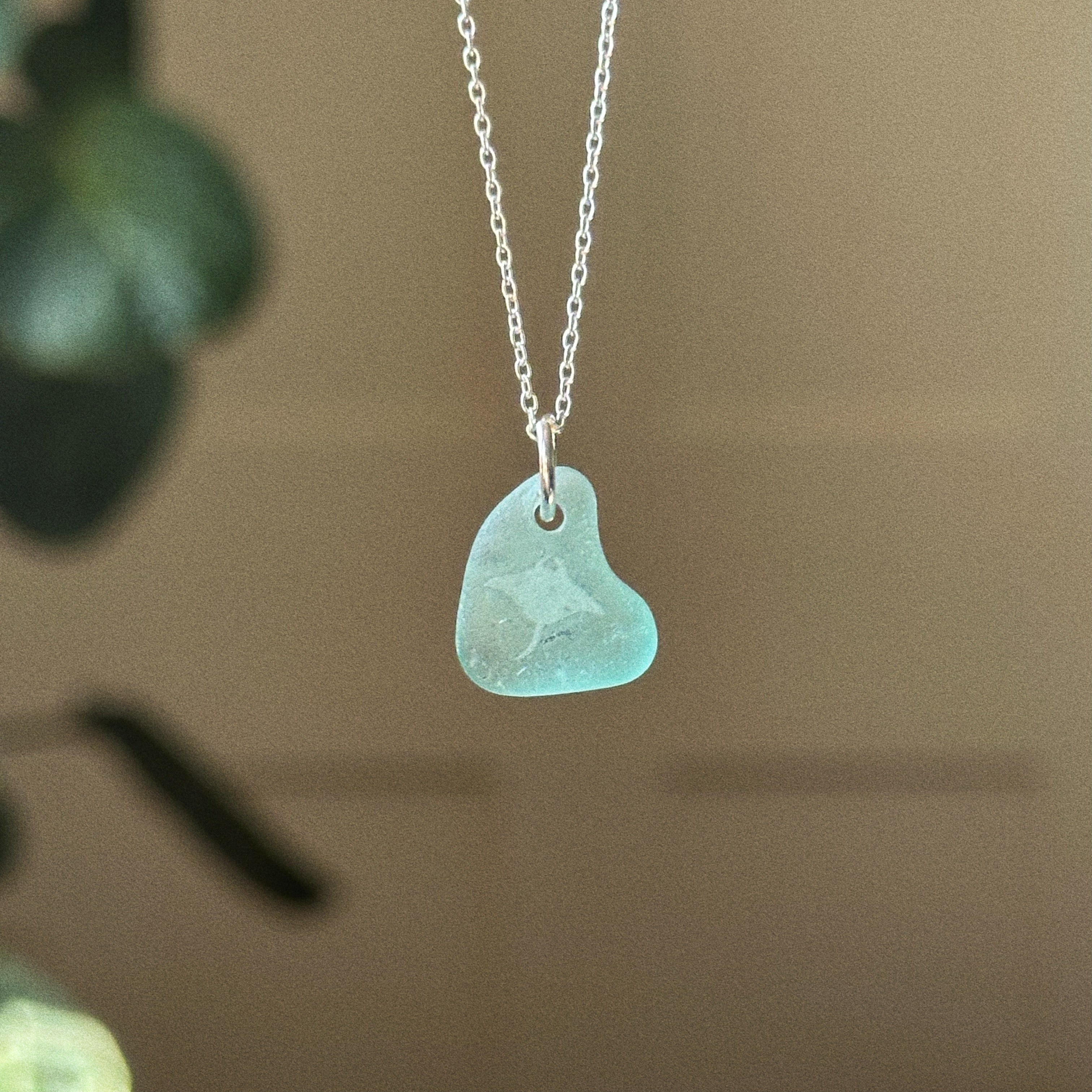Manta Ray silhouette No. 9