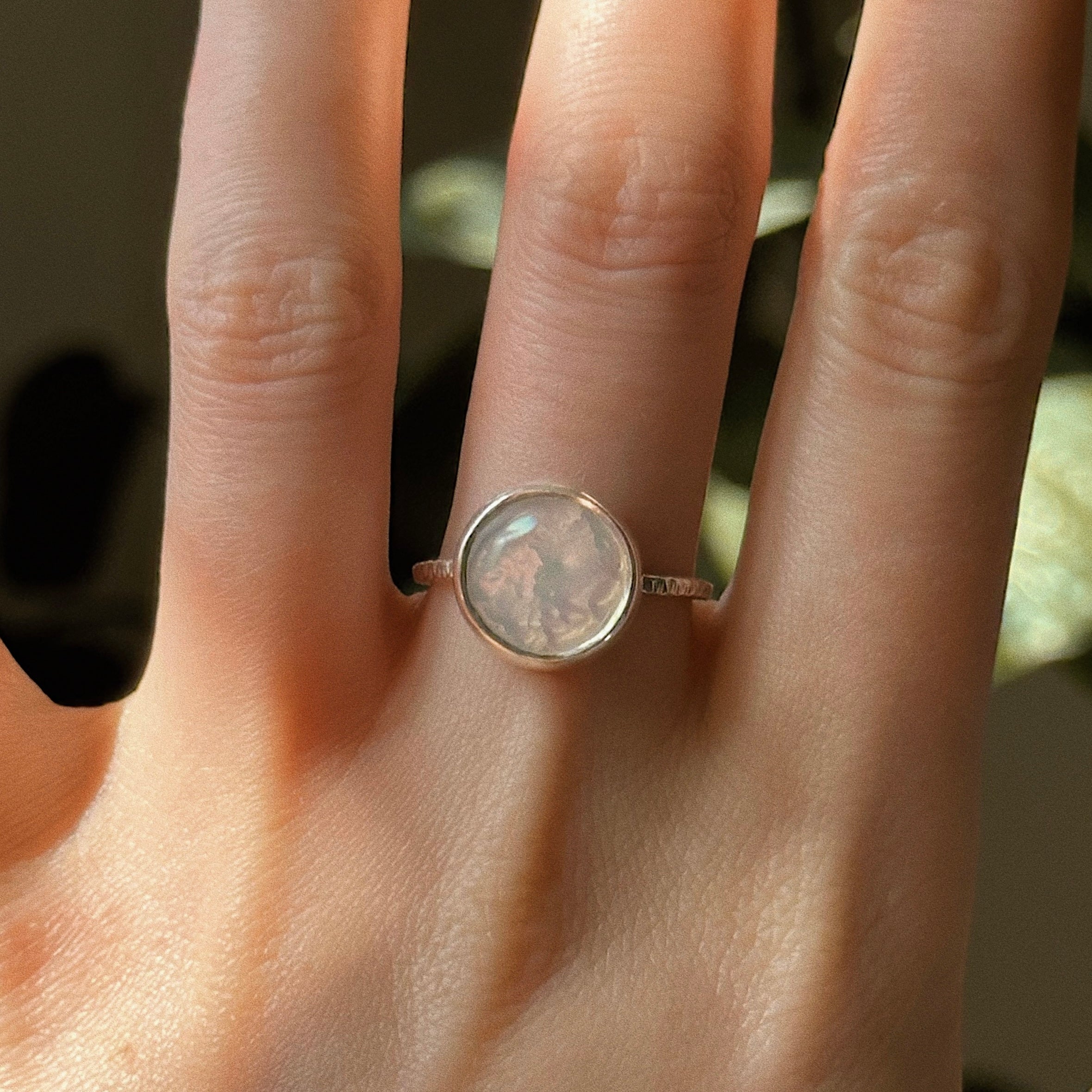 Sea shell ring No. 3 ~ UK Q / US 8