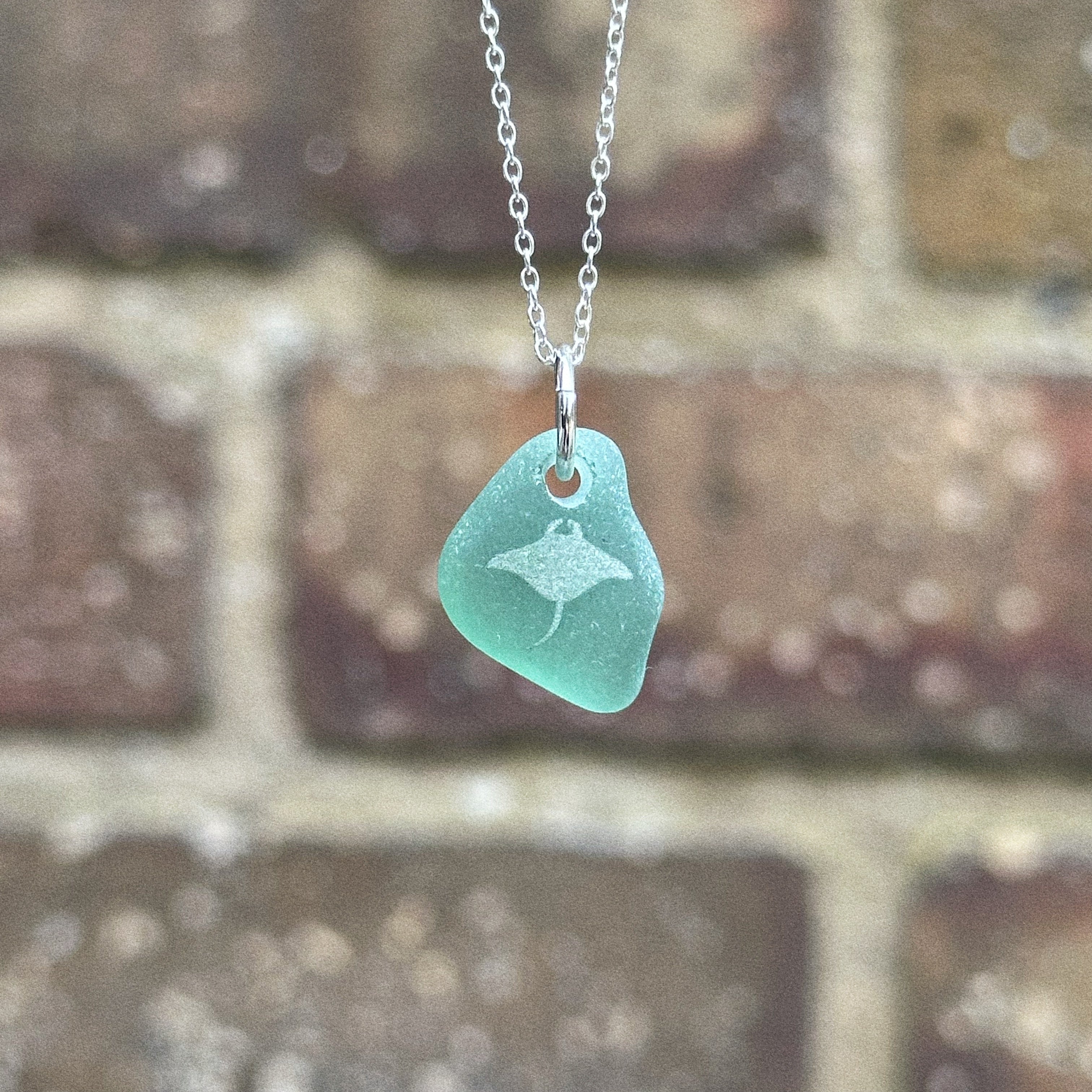 Manta Ray silhouette No. 11