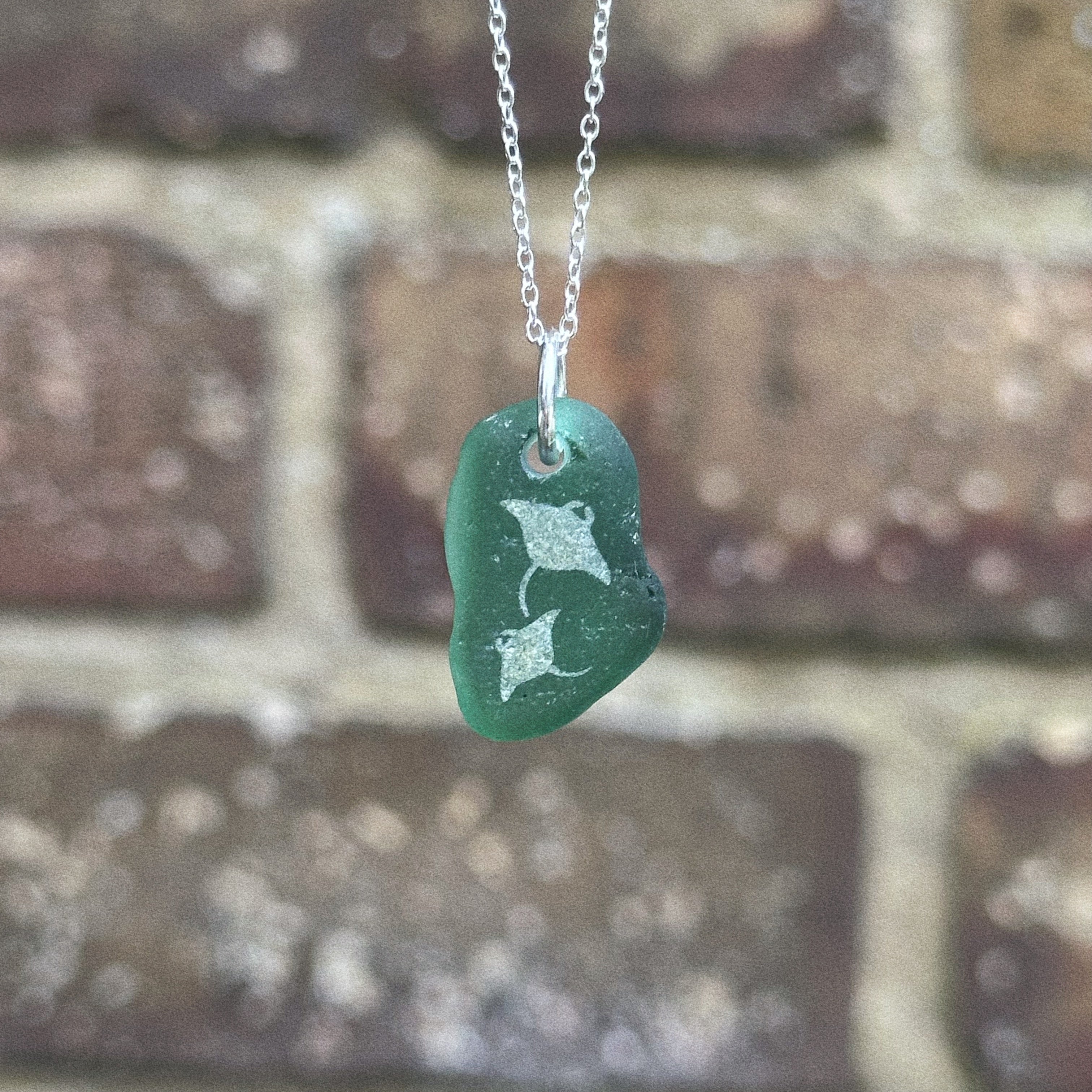 Manta Ray silhouette No. 10