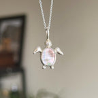 Abalone turtle