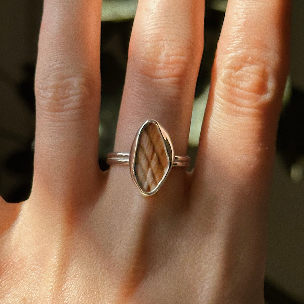 *Imperfect* Sea shell ring No. 1 ~ UK N / US 6.5