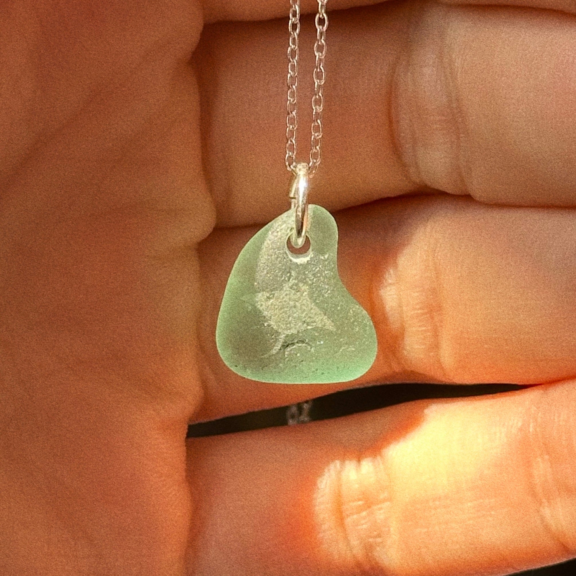 Manta Ray silhouette No. 9