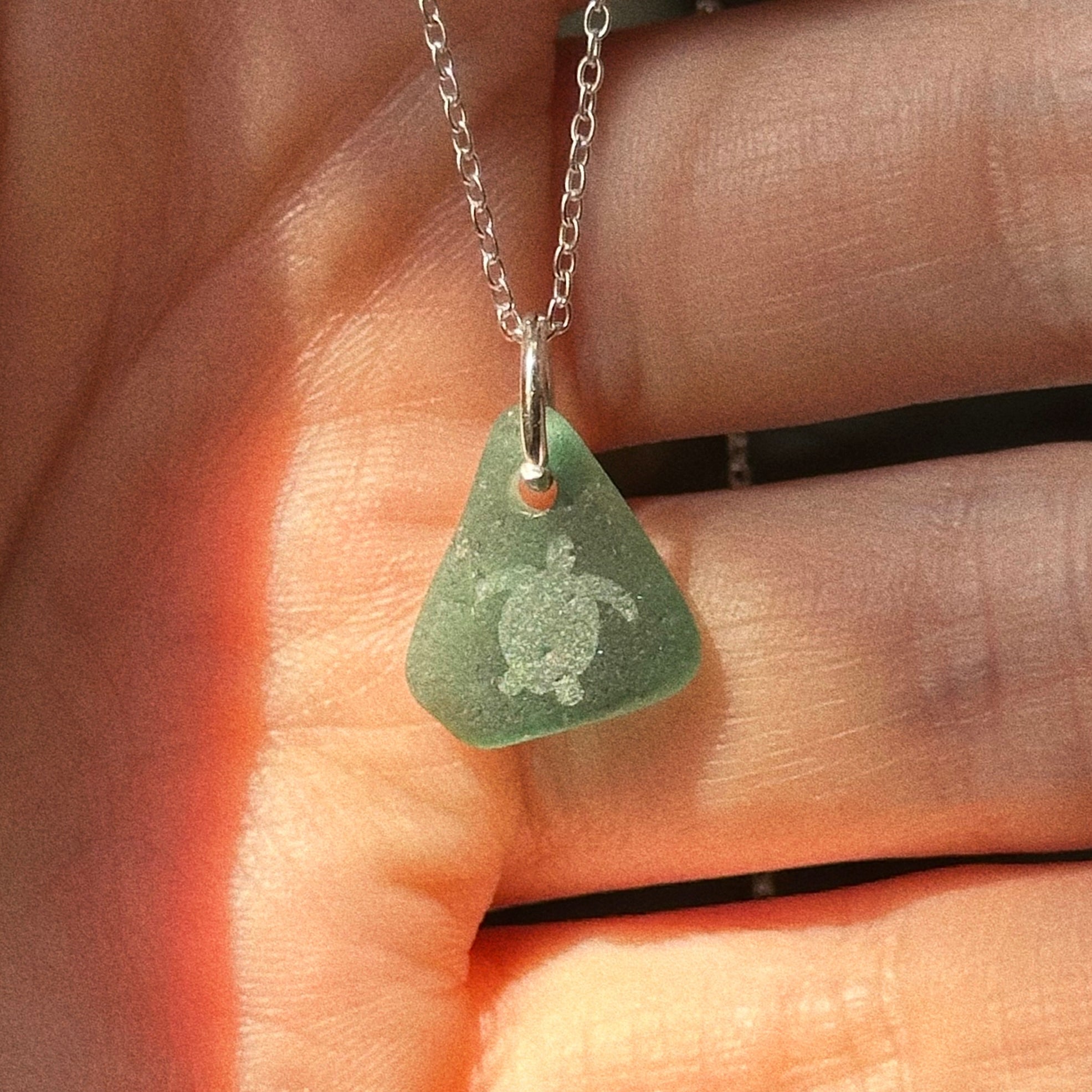 Turtle silhouette No. 13