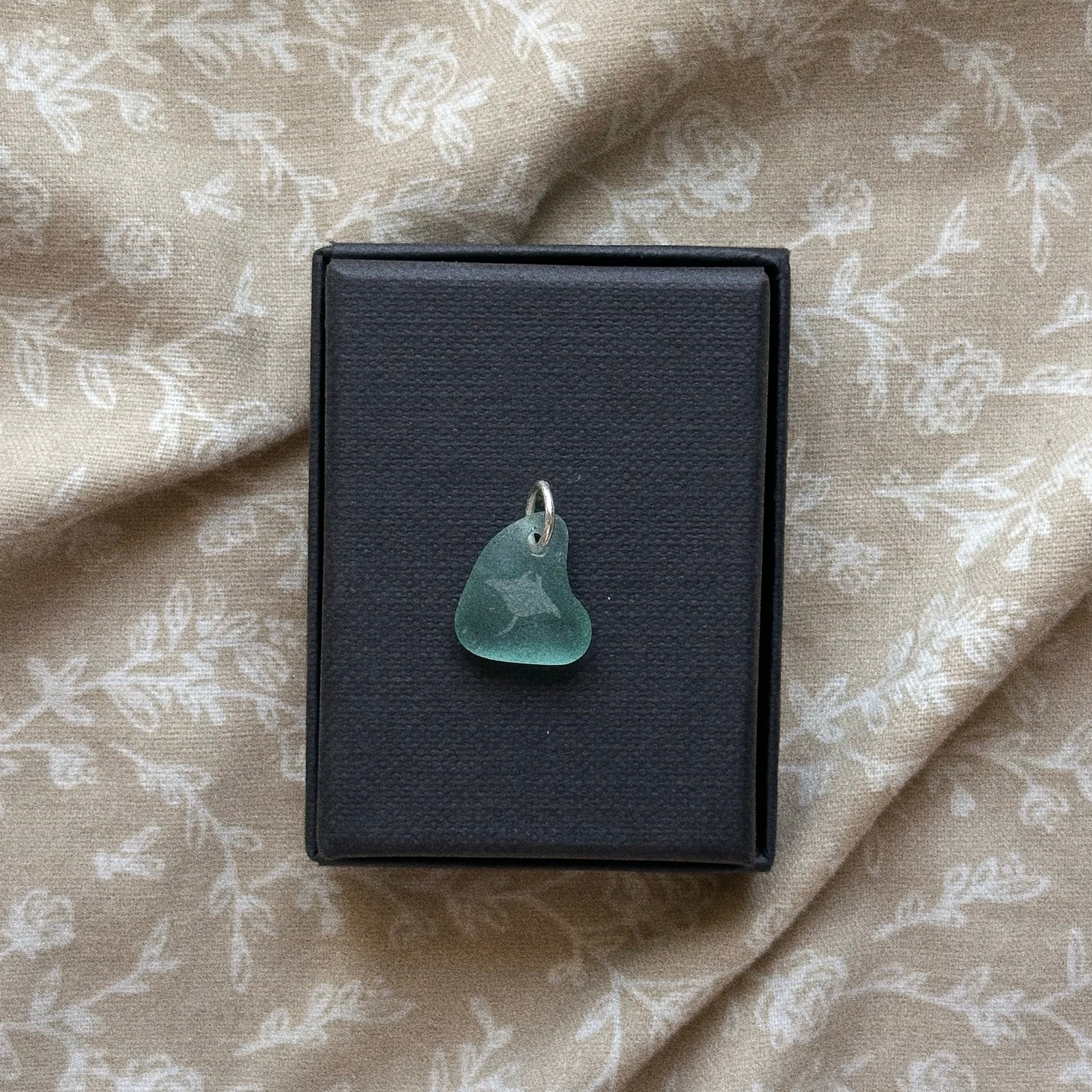 Manta Ray silhouette No. 9