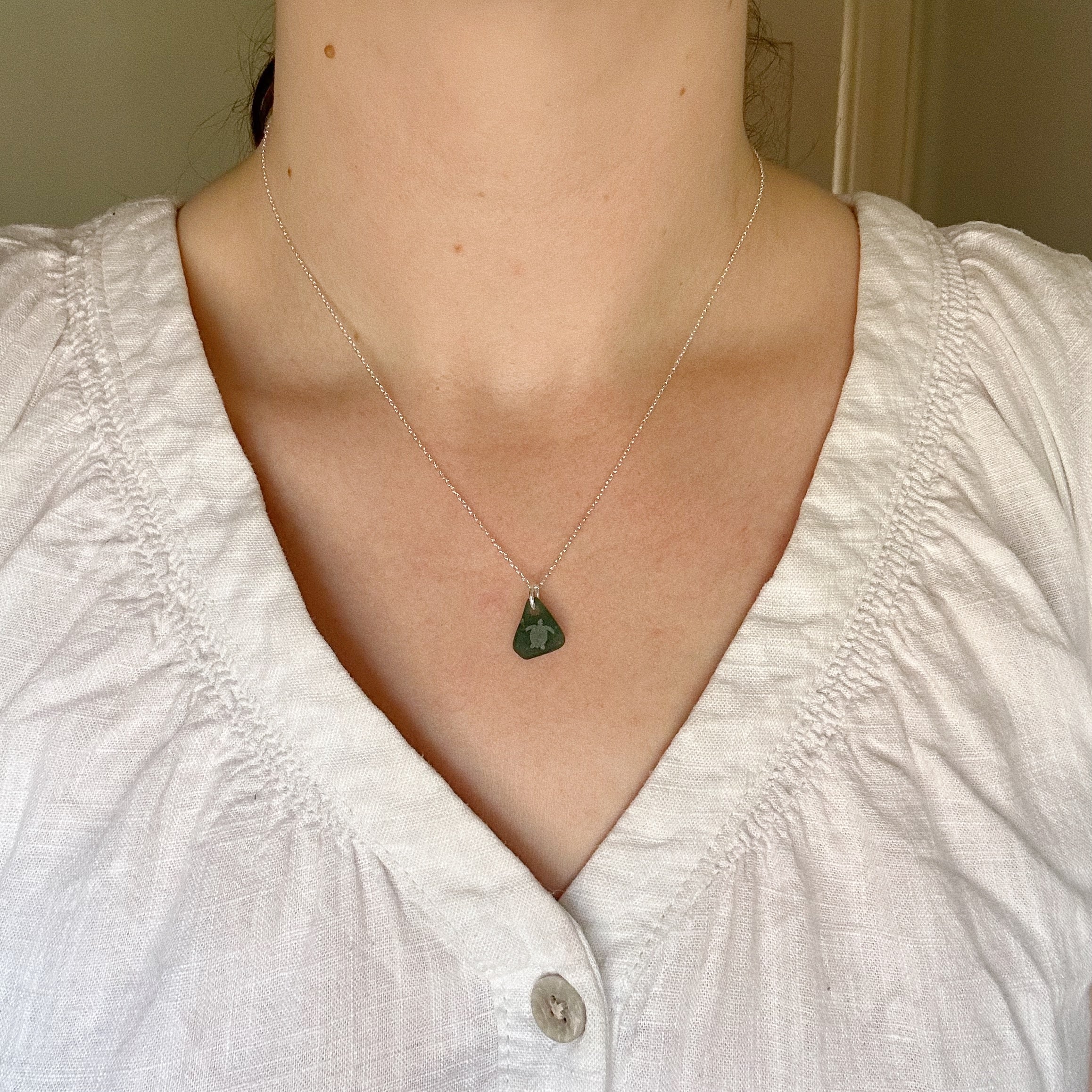 Turtle silhouette No. 13